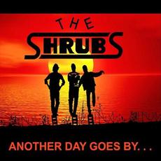 Another Day Goes By mp3 Album by The Shrubs
