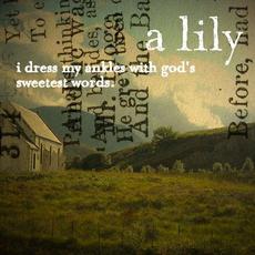I Dress My Ankles With God's Sweetest Words mp3 Single by A Lily