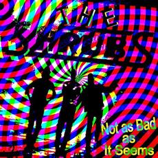 Not as Bad as It Seems mp3 Single by The Shrubs