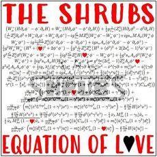 Equation of Love mp3 Single by The Shrubs