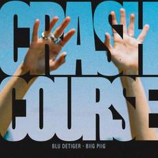 Crash Course (feat. Biig Piig) mp3 Single by Blu DeTiger