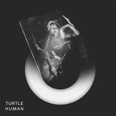 Human mp3 Album by Turtle