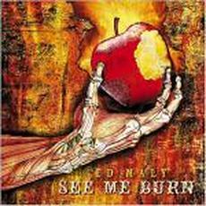 See Me Burn mp3 Album by Ed Maly