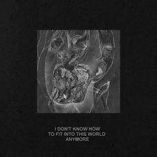 I Don't Know How To Fit Into This World Anymore mp3 Album by Mouth Wound