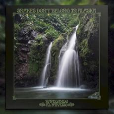 Navegando al Paraiso mp3 Album by Snakes Don't Belong In Alaska