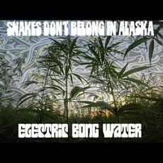 Electric Bong Water mp3 Single by Snakes Don't Belong In Alaska