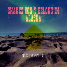 ทะเลทราย mp3 Single by Snakes Don't Belong In Alaska