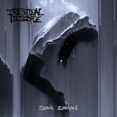Sonic Shrapnel mp3 Album by Intestinal Disgorge