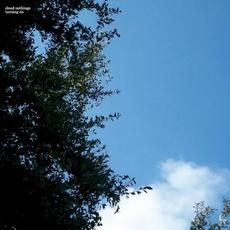 Turning On (10th Anniversary Edition) mp3 Album by Cloud Nothings