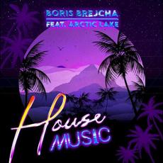 House Music mp3 Single by Arctic Lake
