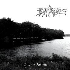 Into the Archaic mp3 Album by Falls of Rauros