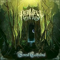 Forest Cathedral mp3 Single by Red Mesa