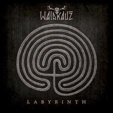 Labyrinth mp3 Album by Waldkauz