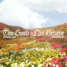 Too Good To Not Believe (Radio Version) mp3 Single by Brandon Lake