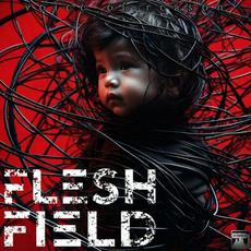 Voice of Reason mp3 Album by Flesh Field