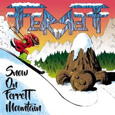 Snow on Ferrett Mountain mp3 Album by FerreTT