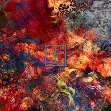 Artificial Bouquet mp3 Album by Frail Body