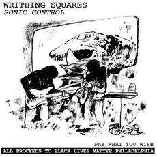 Sonic Control mp3 Single by The Writhing Squares