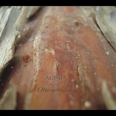 Otherworldliness mp3 Album by Aglaia