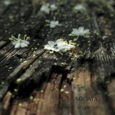 Florealia nocturna mp3 Album by Aglaia