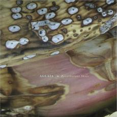 Reverberant Skies mp3 Album by Aglaia