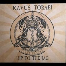 Hip to the Jag mp3 Album by Kavus Torabi