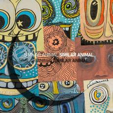 Similar Animal mp3 Album by Similar Animal