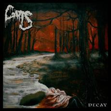 Decay mp3 Album by Guts (2)