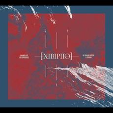 XIBIPIIO. In and Out of Experience mp3 Album by raison d'être & Troum