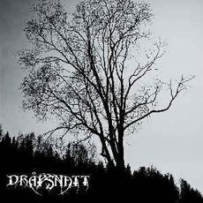 Skelepht mp3 Album by Dråpsnatt