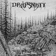 I denna skog mp3 Album by Dråpsnatt