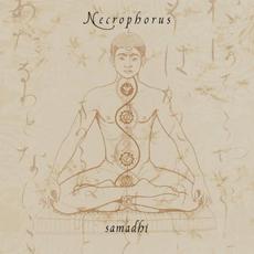 Samadhi mp3 Album by Necrophorus