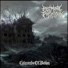 Catacombs of Bedlam mp3 Album by Post Mortal Possession