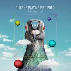 Perspective mp3 Album by Pigeons Playing Ping Pong