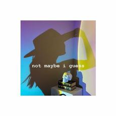 Not Maybe I Guess mp3 Single by Proper Pet