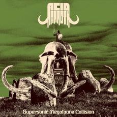 Supersonic Megafauna Collision mp3 Album by Acid Mammoth