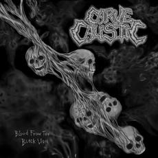 Blood From The Black Urn mp3 Album by Carve Caustic