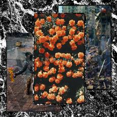 In Bloom mp3 Album by Waste
