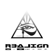 Re-Align mp3 Album by Danger Silent