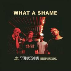 What a Shame mp3 Single by Telltale