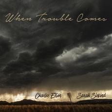 When Trouble Comes mp3 Single by Sarah Siskind