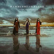 After The Storm mp3 Album by Hammerhead Blues