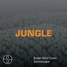 JUNGLE (Wind Down Soundscape) mp3 Album by The Blaze x Endel