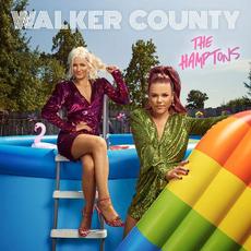 The Hamptons mp3 Single by Walker County