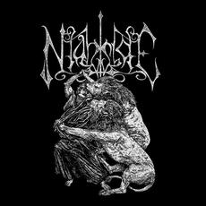 Lions mp3 Album by Nightside