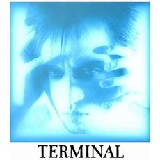 Terminal mp3 Album by Michiro Endo
