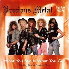 What You See Is What You Get: The Very Best of Precious Metal mp3 Artist Compilation by Precious Metal