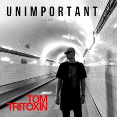 Unimportant mp3 Single by Tom Tritoxin