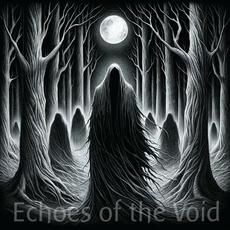 Echoes Of The Void mp3 Album by Acprjct