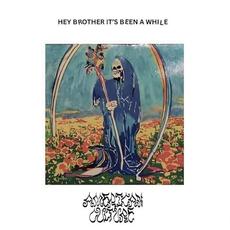 Hey Brother, It's Been a While mp3 Album by American Culture